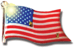 American Flag Flashing Pin